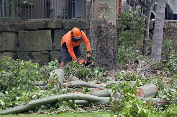 Best Hazardous Tree Removal  in Ponderay, ID